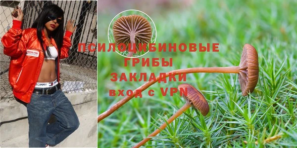 кокаин VHQ Алексеевка