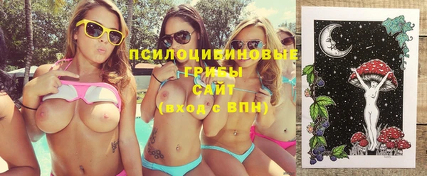 твердый Алзамай