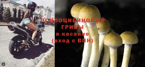 твердый Алзамай